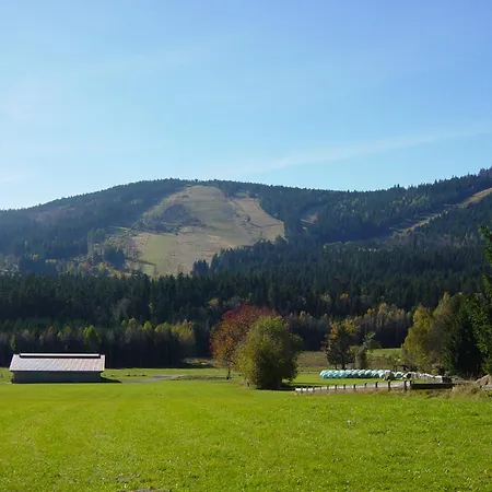 Pension und Ferienwohnungen König-2