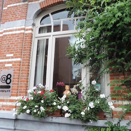 B&B Lodging At 8-3