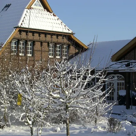The Cosy Home-3