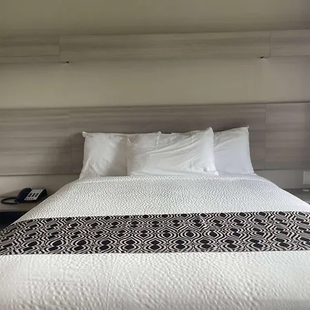 Microtel Inn & Suites By Wyndham Bossier City-3