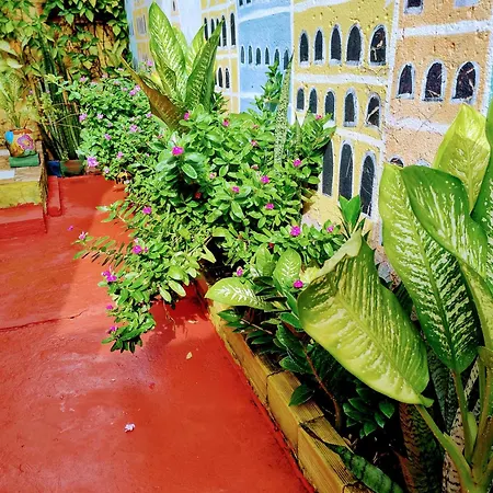 Perto Do Aeroporto De Salvador - Dona Pitanga Hostel-2