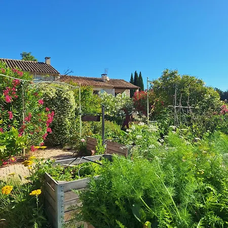 MAS DES FIGUES - très calme - Certifié Biologique - Parc Naturel Ecologique - Piscine 12x6 - brunch paysan méditerranéen cuisine maison - huile d'olive - Agritourisme - Alpilles - Saint Rémy de Provence- 30 avril au 20 septembre 2026-3