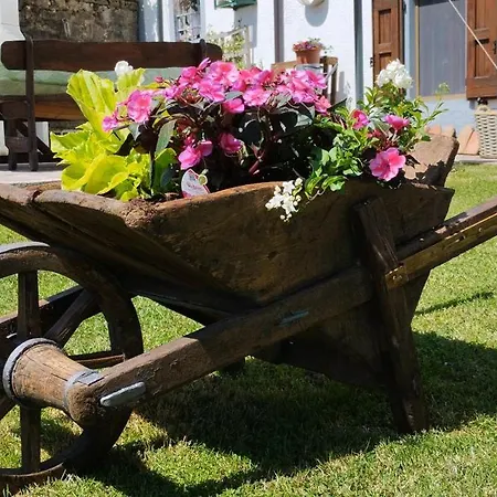 B&B Alle Betulle-2