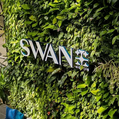 Swan Novo Hamburgo-3