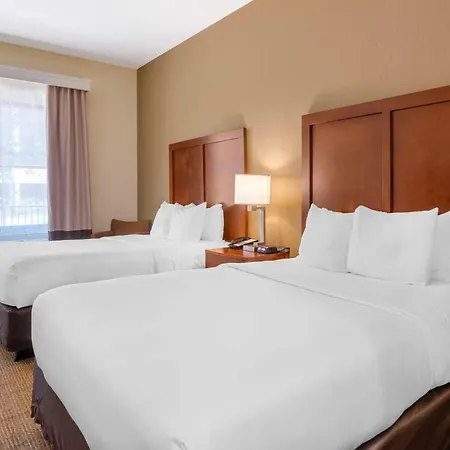 Comfort Inn & Suites Northeast - Gateway-2