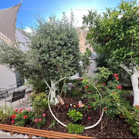Patio 101 " Exclusive " B&B Boutique By Randazzo-3