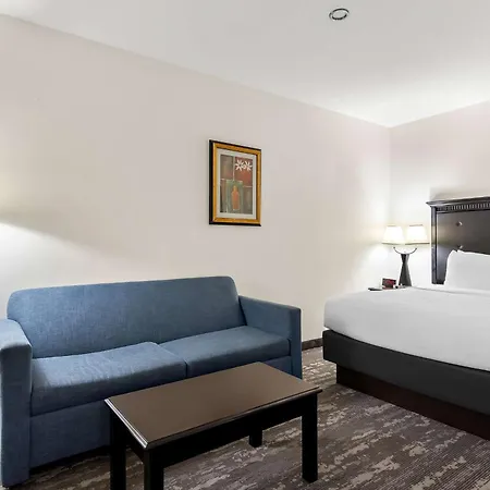 Best Western Saluki Inn-2
