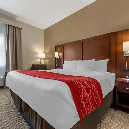 Comfort Inn & Suites Streetsboro - Kent-2