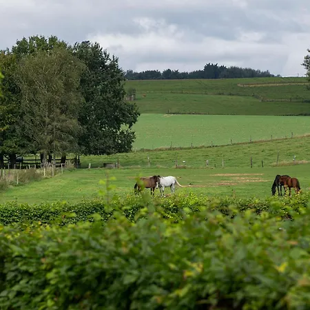 B&B Bertem Natuur-2