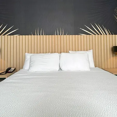 The Harrison Hotel Downtown Hollywood Fl, An Ascend Collection Hotel-2