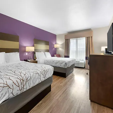 Best Western Plus Buda Austin Inn & Suites-3