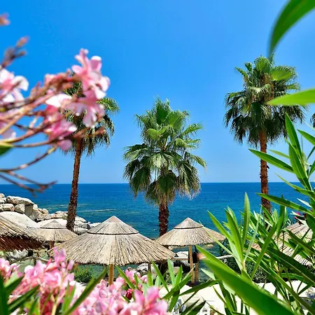 Arbatax Park Resort - Telis By Falkensteiner-3