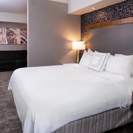 Springhill Suites By Marriott Pittsburgh North Shore-3