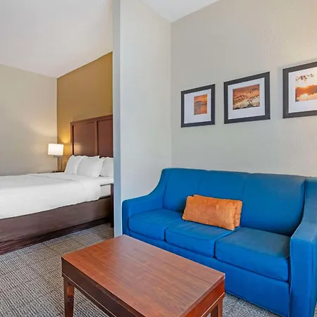 Comfort Suites Downtown-3