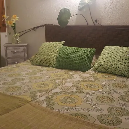 Fonda Felip-2