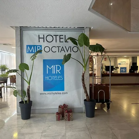 Mir Octavio-2