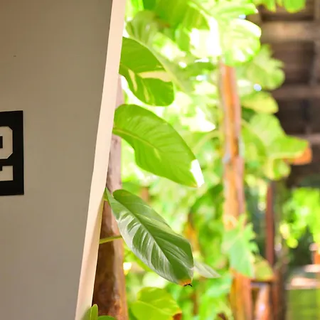 Casa Teka - Boutique Hotel & Cenote-3