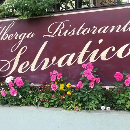 Albergo Selvatico-3