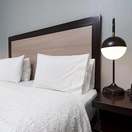 Hampton Inn & Suites - Raleigh Downtown-3