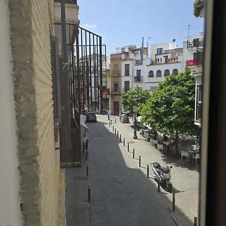 Le Petit Palue Sevilla-2