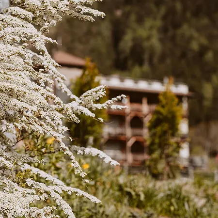 Hotel Bergschlössl-2