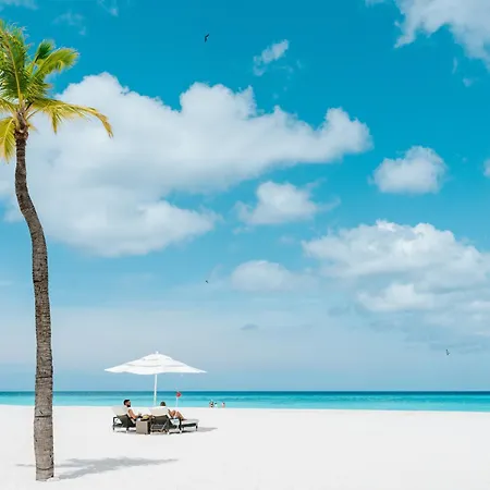 Bucuti & Tara Boutique Beach Resort - Adult Only-3