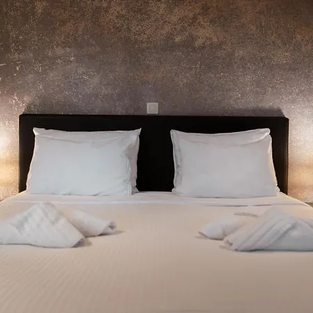 Hotel Orion-3