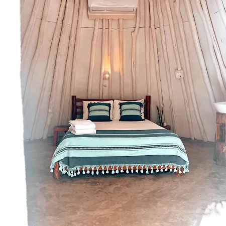 Mimosa Tulum-3