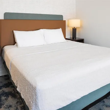 Hampton Inn Minneapolis-Roseville,Mn-2