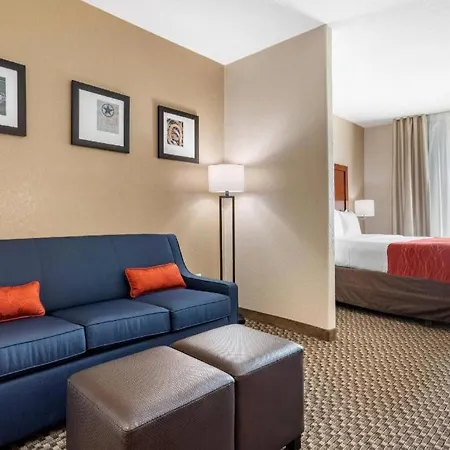 Comfort Inn & Suites Navasota-3
