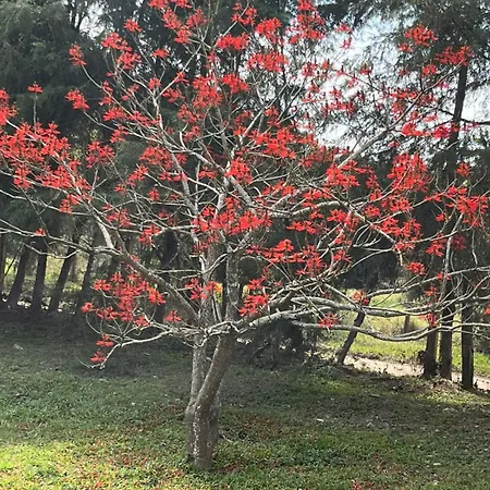 Pousada Pe Na Terra Em Guararema-2