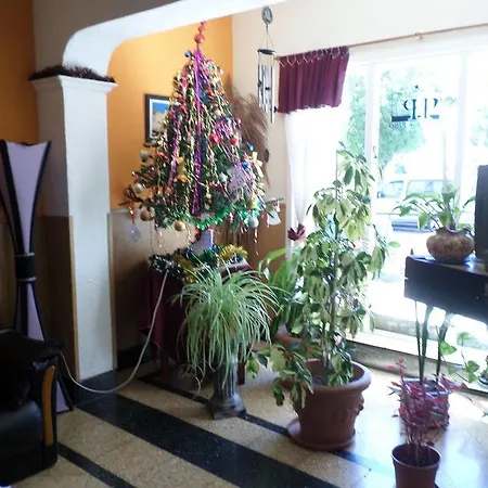 Hotel Pino-2