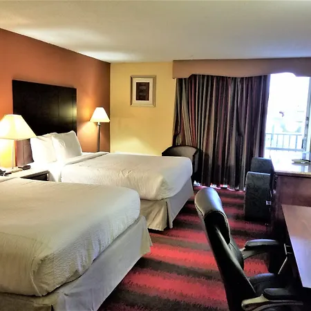 Spark By Hilton Clifton-2