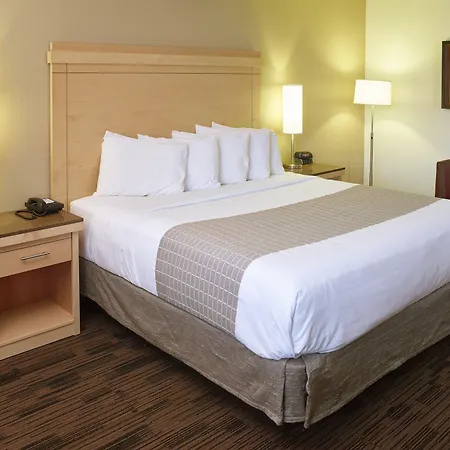 Livinn Hotel Minneapolis South / Burnsville-3