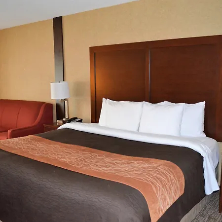 Comfort Inn & Suites Vancouver Downtown City Center-3