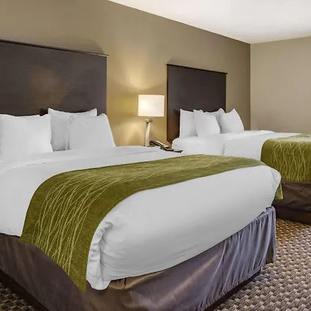 Comfort Inn Wings Stadium-2