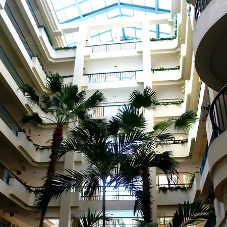 Hilton Boca Raton Suites - Newly Renovated-3