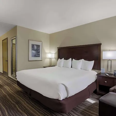 Best Western Cottage Grove Inn-3