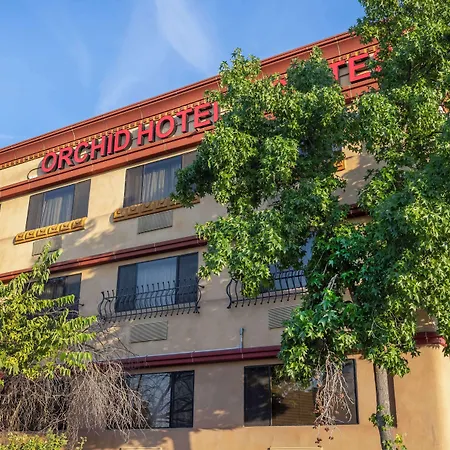 Best Western Plus Orchid Hotel & Suites-3