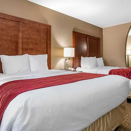 Comfort Inn & Suites Leeds I-20-2
