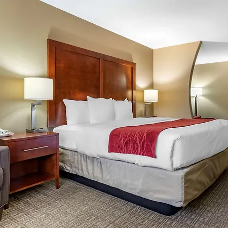 Comfort Inn & Suites Leeds I-20-3