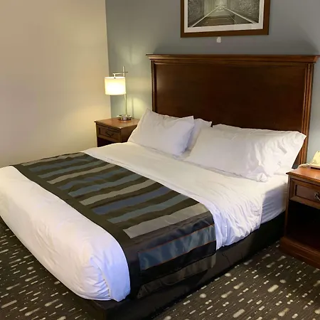 Wingate By Wyndham Brighton-3
