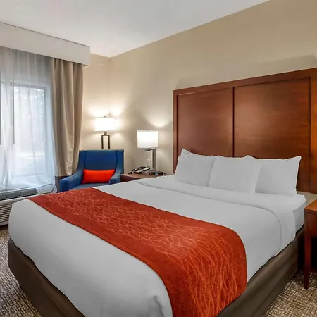 Comfort Inn & Suites Canton Riverstone Area-2