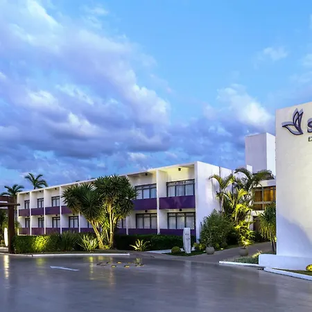 Sia Park Executive Hotel-2