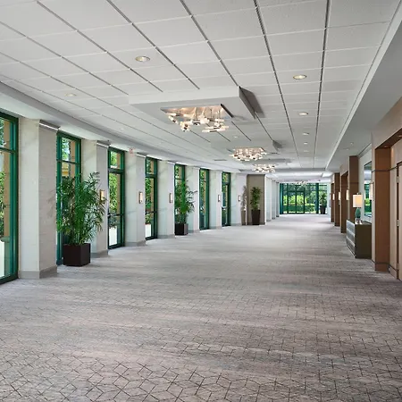Orlando Marriott Lake Mary-3