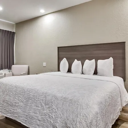 Red Roof Inn Plus + Galveston - Beachfront-2