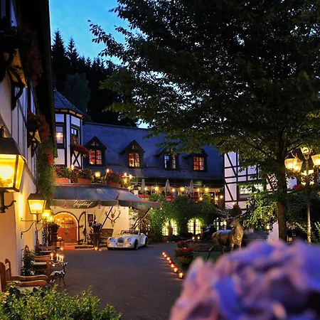 Hotel Jagdhof Glashütte-3