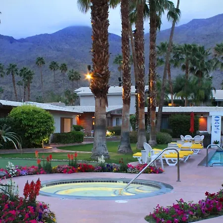 A Place in the Sun: Adults-Only Midcentury Boutique with Heated Pool-3
