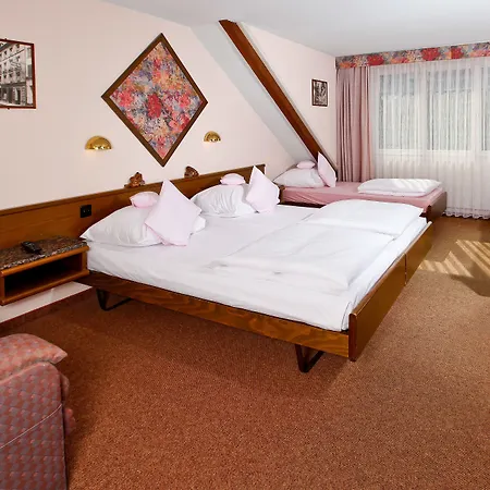 Hotel Baslertor-2