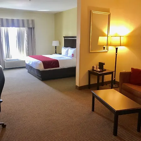 Comfort Suites University-2